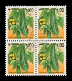 ../shop_sun/files/pro_img/zoom/201510181623442.jpg